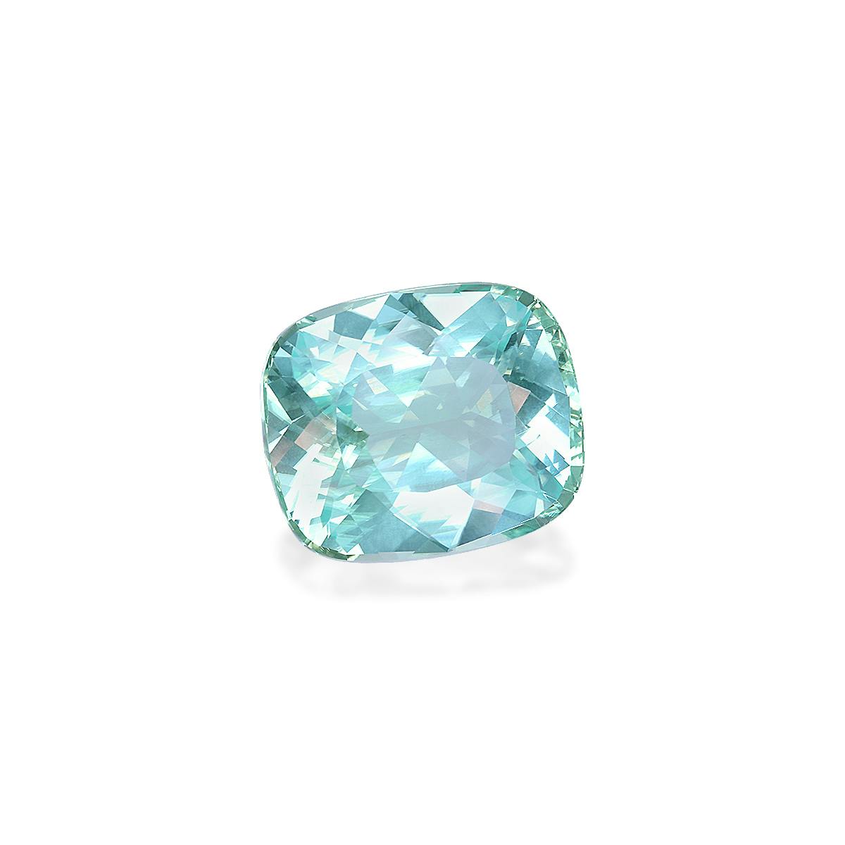 Paraiba Tourmaline 42.15 ct